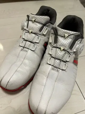 브릿지스톤 골프화 / 다이얼식