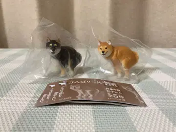 새상품 펀바리~누 펀바리~누 시바견 블랙 시바견