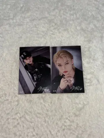 Stray Kids 2023 돔 투어 스티커 2장 세트