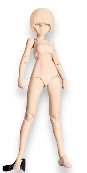 메가미 디바이스 섀시 키트 스킨 컬러 B