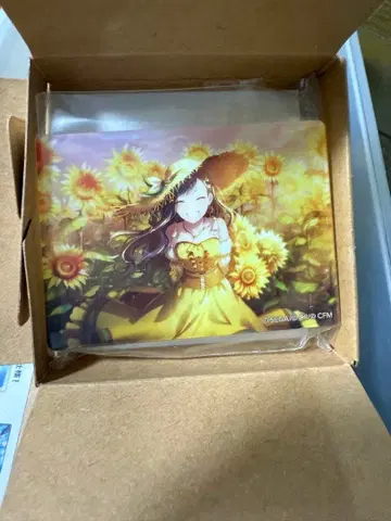 프로세카 시로이시 안 노블 아트 44