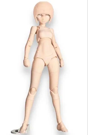 메가미 디바이스 섀시 키트 스킨 컬러 A