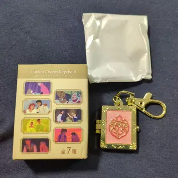 로켓 참 키체인 디즈니 오로라 공주