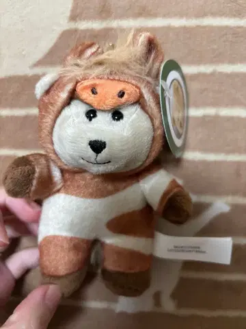 스타벅스 베어리스타 우마Mini