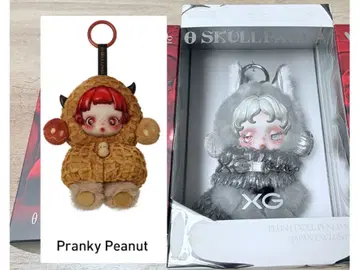 SKULLPANDA 2점 세트 XG 일본 한정판 Pranky Peanut