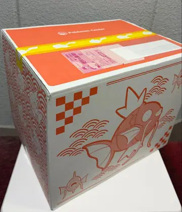 피카피카 박스 2026 코이킹