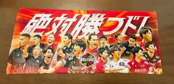 울프독스 나고야 2024-2025 챔피언쉽 응원 타월