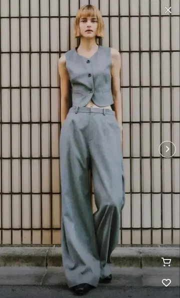 Styling/ 그레이 와이드 팬츠 [ 셋업 가능 ]