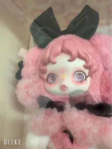 얼굴 대우승 마이멜로디 x 스컬팬더