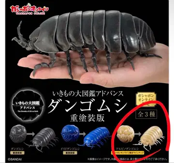 온라인 한정판 생물대도감 어드밴스 공벌레 (중도색판) 알비노