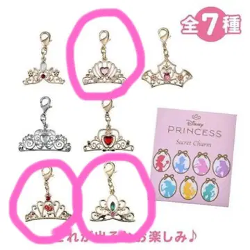 디즈니 프린세스 시크릿 참