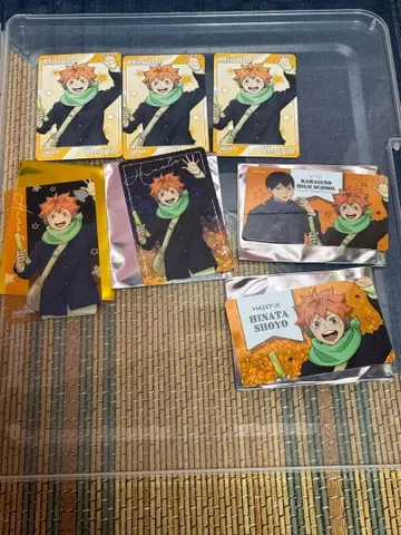 하이큐!! 코스모 월드 히나타