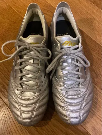 모렐리아 네오 4 24.5 실버