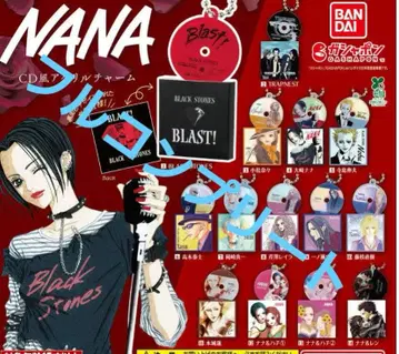 전 14종 컴프 NANA CD풍 아크릴 참