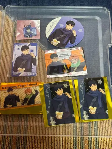 하이큐!! 코스모 월드 카게야마