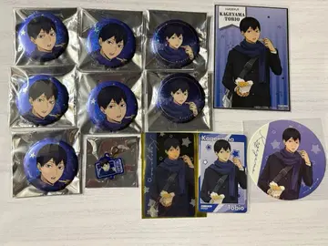 하이큐!! 요코하마 코스모 월드 카게야마 토비오 묶음 판매