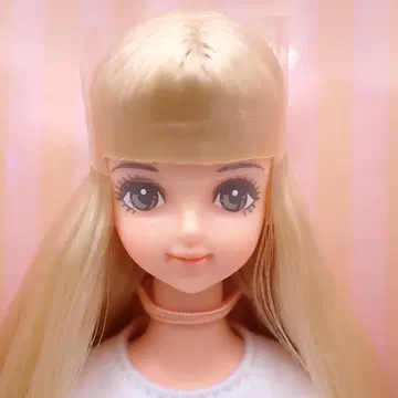 리카짱 캐슬 제니 & 프렌즈 클럽 사야카 13614-519