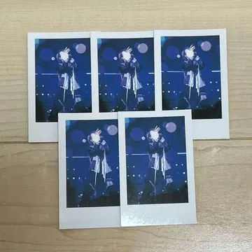 하토 실사 폴라로이드