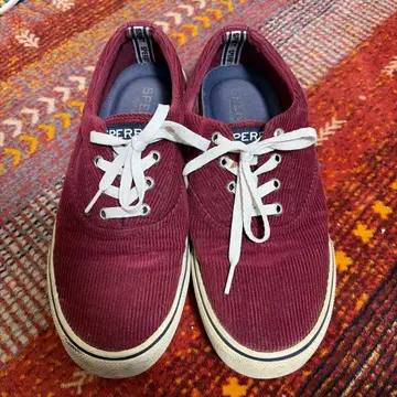 Sperry 버건디 코듀로이 스니커즈