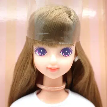 리카짱 캐슬 제니 & 프렌즈 클럽 미라이 13622-662