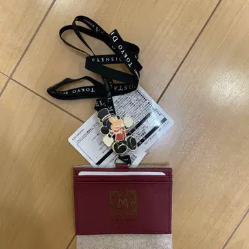 도쿄 디즈니 씨 미라코스타 패스 케이스