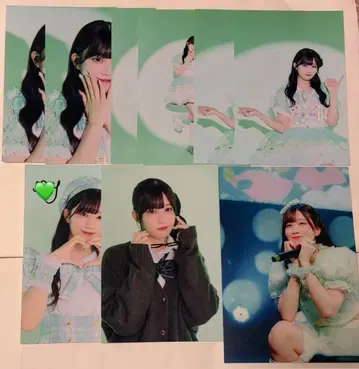 pixelribbon 하시모토 메구미 브로마이드 사인 포스카