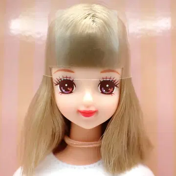 리카짱 캐슬 셀렉션 모델 DX 아야노-2 NO.13117