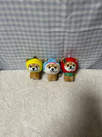 여행하는 마메시바 3세트