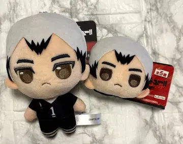 푸칫슈! 핀구루미 하이큐!! vol.2 키타 신스케 2종