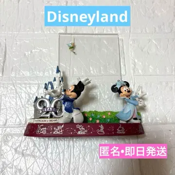 공식 디즈니랜드 20주년 사진 스탠드 포토 프레임 당일 발송