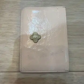 minitmute 카드 케이스