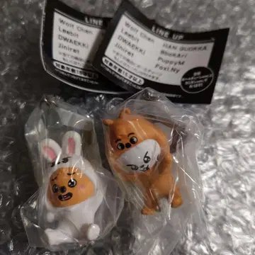 스키즈 SKZOO 가챠 된장 카니칸 세트