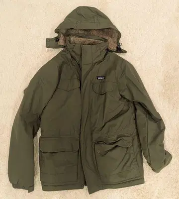 Patagonia 이즈머스 후드티