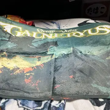 GALNERYUS 아트 배스 매트 50 x 80