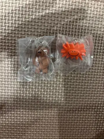 DaisukeKondo 메지루시 액세서리 kuma 태양 세트