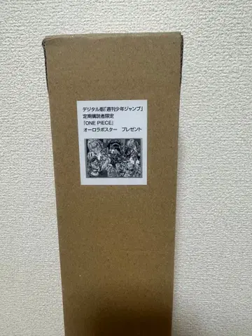 원피스 오로라 포스터 B2 사이즈