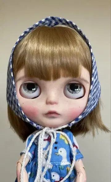 커스텀 브라이스