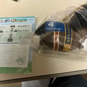 다이토 복권 호스 히어로즈 D상 토카이 테이오 덤