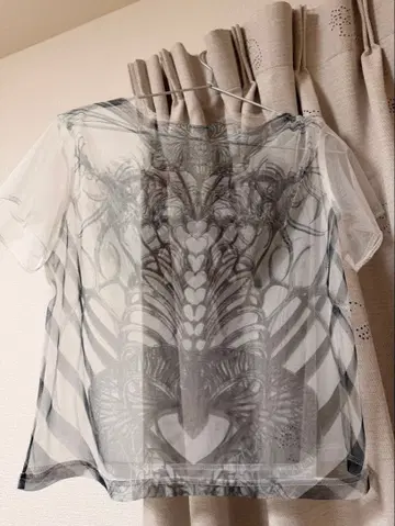 시스루 그래픽 프린트 반팔 T셔츠