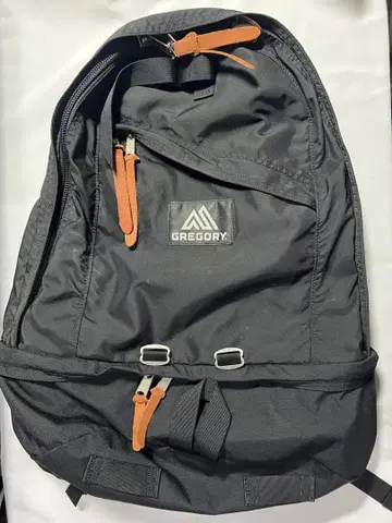 레어 V1 GREGORY 마이티 데이 블랙