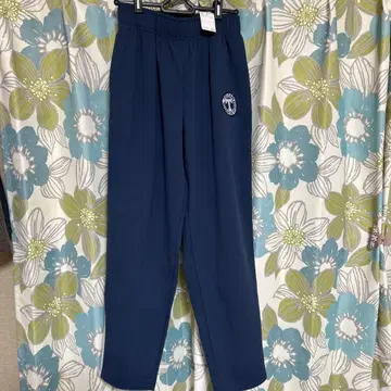 아베일 명탐정 코난 제탄 고등학교 저리 팬츠만 M