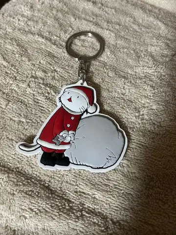 BUMP OF CHICKEN 니콜 키링