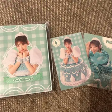 폴라로이드 파일 사쿠라이 유이