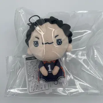 하이큐 모찌피코 마스코트 사와무라 다이치 후류 점프 페스타 선행