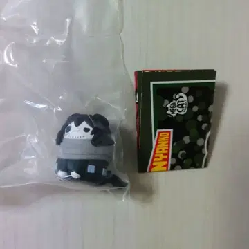 히로아카냥코 아이자와 쇼타