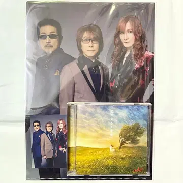 THE ALFEE 네가 사는 의미 일반ver 클리어 파일 포토 카드