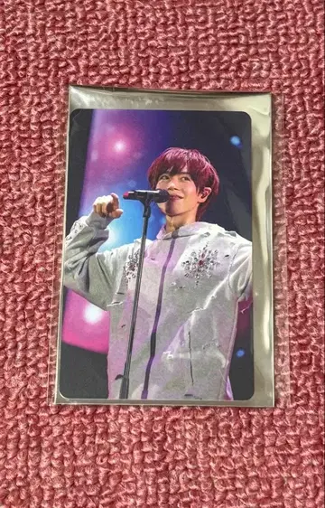 우라시마사카타센 포토 카드 토나리노 사카타.