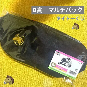 [다이토 복권] B상 멀티 백