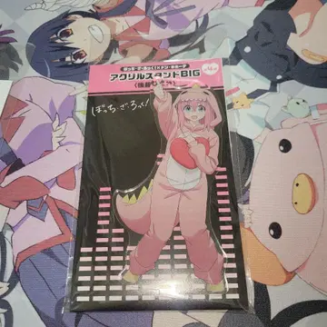 봇치 더 록! 돈키호테 고토 히토리 아크릴 스탠드