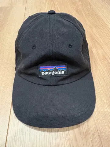 patagonia P-6 라벨 트레디셔널 캡